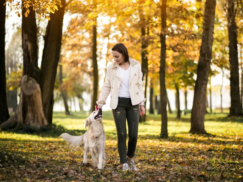 girl-with-dog-min.jpg