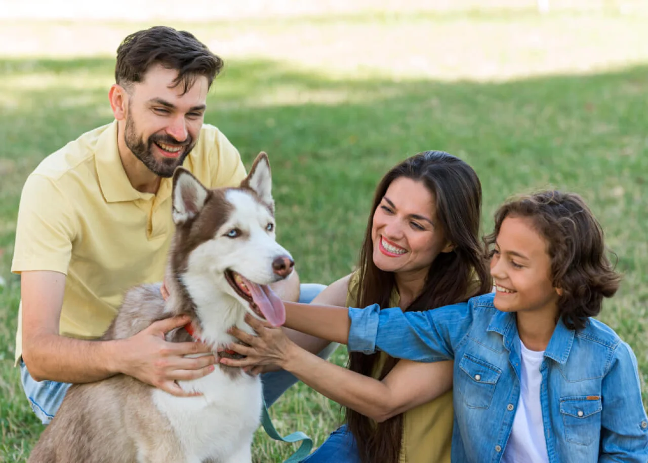 pet-insurance-hero