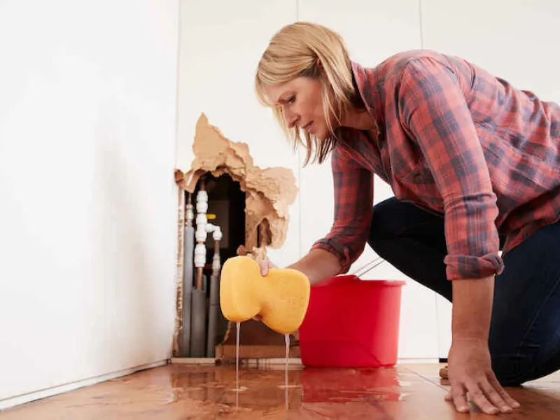 cost-of-home-insurance-down-by-56-in-a-year-1-1632496750WvetJ
