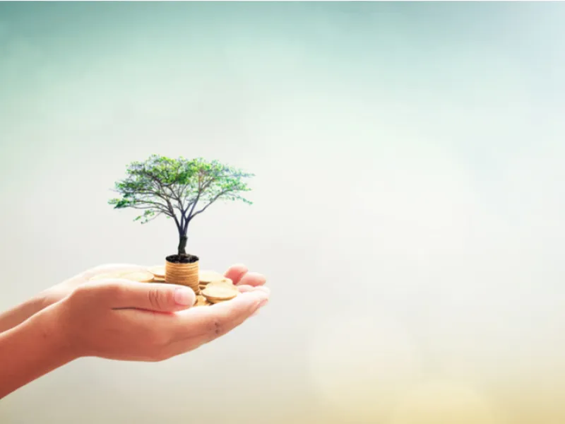 trust-fund-1650986291UAItx