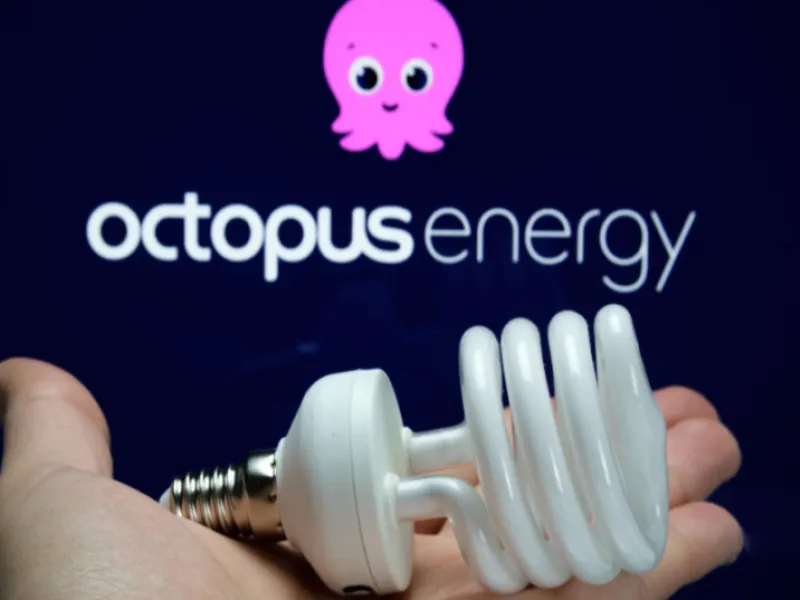 octopus-1654596695PkEhI.jpg